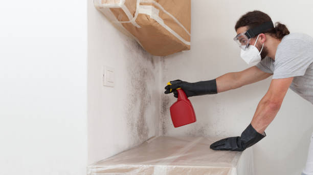 Professional Mold Removal technician working in Manistee, MI